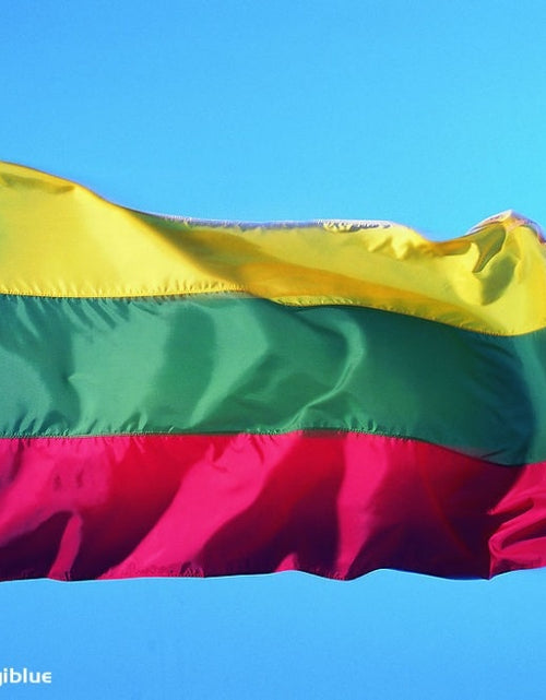 Load image into Gallery viewer, Free Shipping   150x90cm NEW 100% Polyester Lithuania Flag
