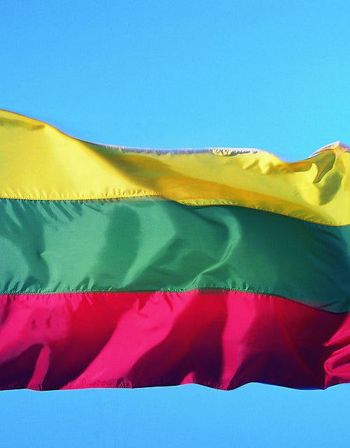 Load image into Gallery viewer, free  shipping  xvggdg   NEW   lithuania    Flag 3ft x 5ft Hanging lithuania  Flag Polyester standard Flag Banner
